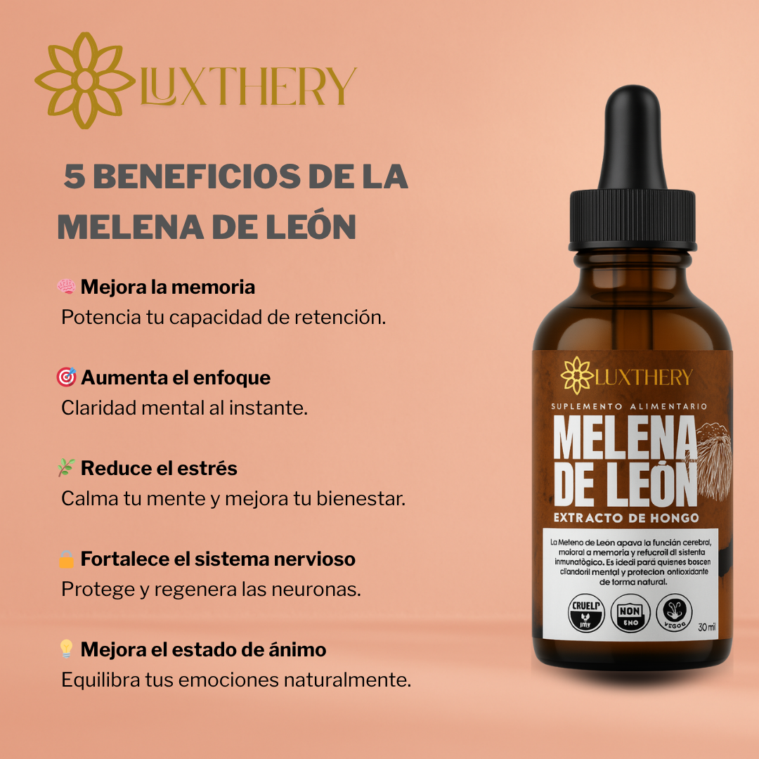 Extracto en gotas de Melena de León 3:1 - Enfoque, Claridad y Bienestar — Oferta Limitada